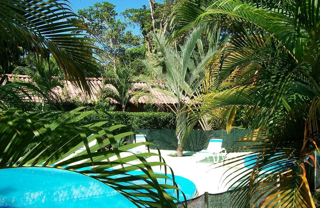 Luna Caribena Village Puerto Viejo de Talamanca Exterior foto